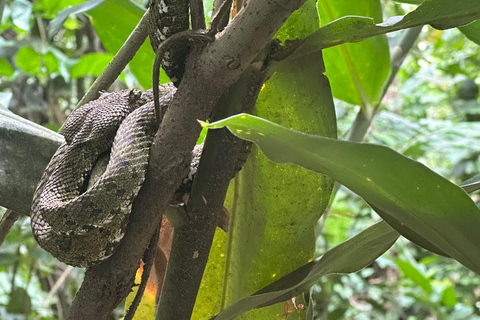 From San José: 3-Day Costa Rica Volcanoes & Waterfalls Tour