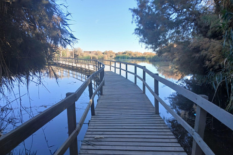 Amman: Mujib Viewpoint, Kerak Castle & Dana Day Trip