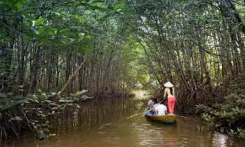 Can Gio Mangrove Forest And Monkey Island Full Day Tour Getyourguide