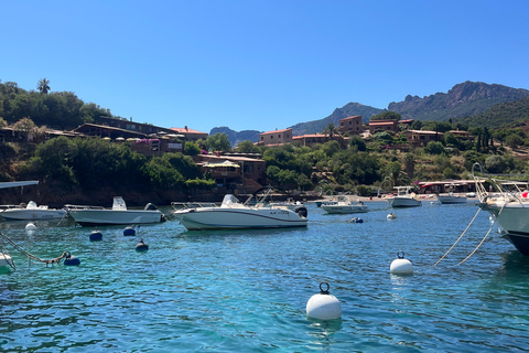 De Cargèse : Le grand tour du Golfe