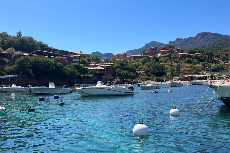 De Cargèse : Le grand tour du Golfe