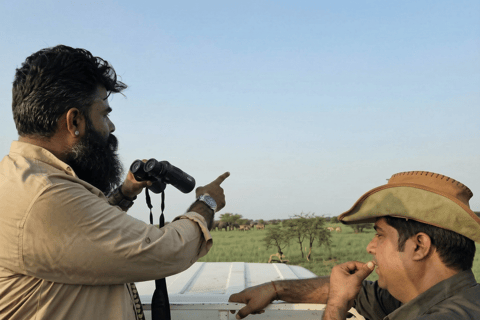 Explore Rajasthan in 7 Days: Udaipur, Jodhpur & Jaisalmer Only AC Car With Driver And Guide