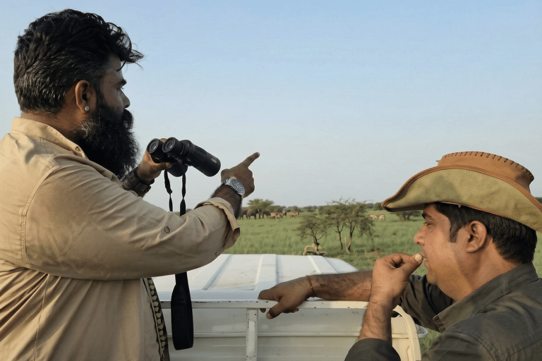Explore Rajasthan in 7 Days: Udaipur, Jodhpur & Jaisalmer Only AC Car With Driver And Guide