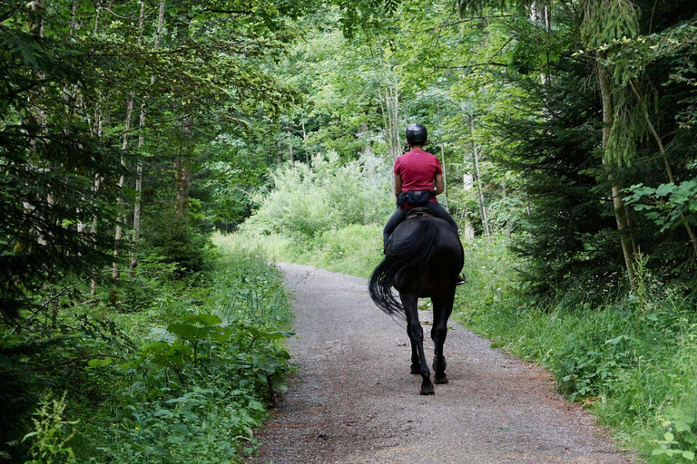 Pokharas erstes Reitabenteuer