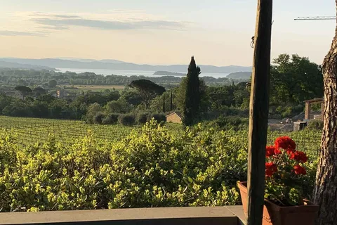 SELEZIONE DI VINI RARI MONTEMELINO