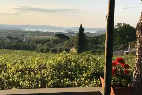 MONTEMELINO RARE WINES SELECTION