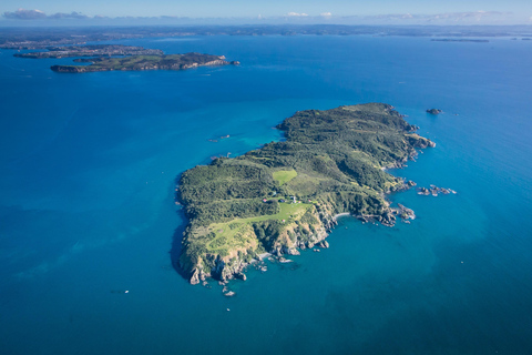 Auckland: Tiritiri Matangi Island Fähre8:30 Uhr ab Auckland Viaduct