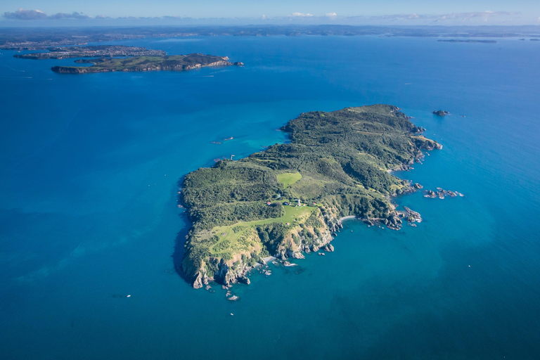 Auckland: Ferry a la isla Tiritiri Matangi9:25 h ex Puerto del Golfo (fines de semana)