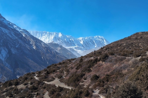 Pokhara : 11 jours de randonnée sur le circuit de l'Annapurna via le lac TilichoPokhara : 11 jours de trekking du circuit de l'Annapurna (forfait léger)