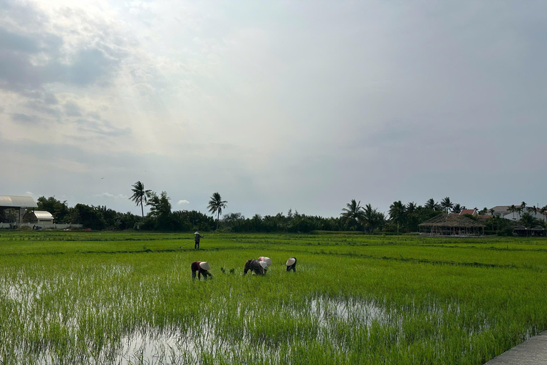 Hoi An Bike Tour: Ride a Buffalo & Duck Farming Experience Hoi An Bike-Organic Farm-Duck game-ride Buffalo-Basket boat
