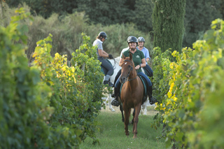 Horseback Riding and Organic Wine Tasting in the Empordà