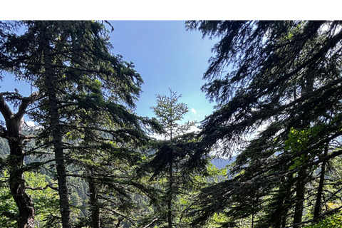 Montagna di Rila, PICCOLO GRUPPO, tour da SofiaTour a piedi del monte Rila da Sofia