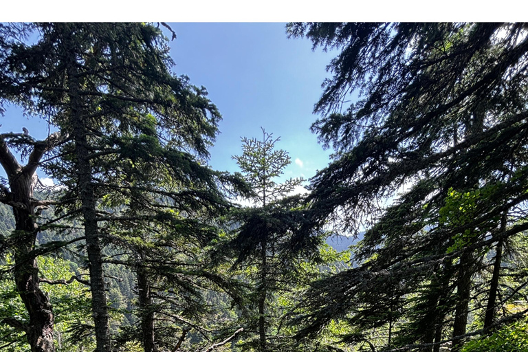 Montagna di Rila, PICCOLO GRUPPO, tour da SofiaTour a piedi del monte Rila da Sofia