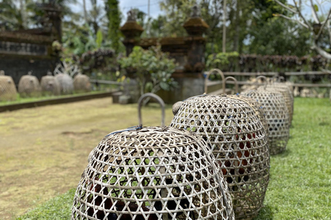 Ubud : PRIVATE Bike Tour inside Rice Field Ubud Countryside Sharing Group