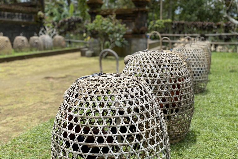Ubud : PRIVATE Bike Tour inside Rice Field Ubud Countryside Sharing Group
