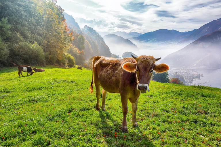 Lucerna: Un paseo perfecto con un lugareño