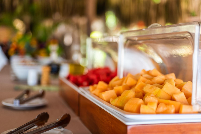 EXPÉRIENCE D'UNE JOURNÉE SUR L'ÎLE DE L'ENCHANTEMENTEXPÉRIENCE D'UNE JOURNÉE À L'ISLA DEL ENCANTO