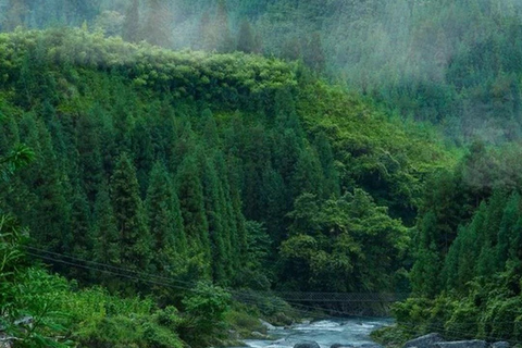Shanghai: Fengmingshan Immortal Valley Private Day Trip