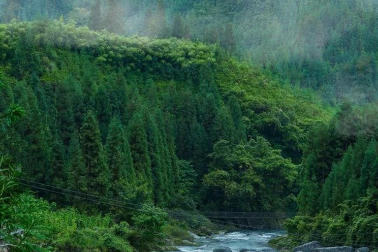 Shanghai: Fengmingshan Immortal Valley Private Day Trip
