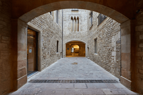 Barcelona: Guided Tour of the Picasso Museum with TicketsPicasso Museum Guided Tour in Spanish