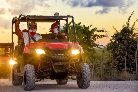 Punta Cana Jungle Night Tour with Cave Swim & Dinner