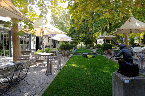 Kapsztad: prywatna wycieczka po winnicach z degustacją i lunchem