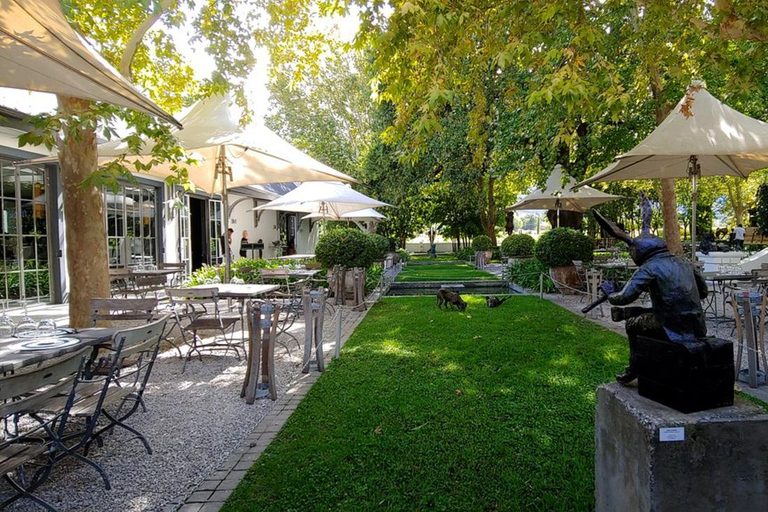 Kapsztad: prywatna wycieczka po winnicach z degustacją i lunchem