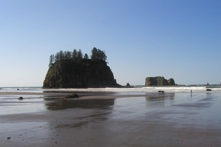 Von Portland aus: Oregon Coast Scenic Day Tour