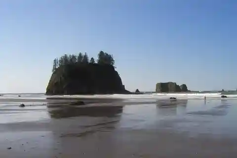 From Portland: Oregon Coast Scenic Day Tour