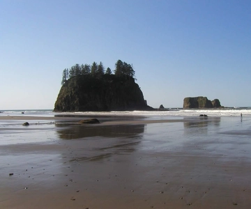 From Portland: Oregon Coast Scenic Day Tour