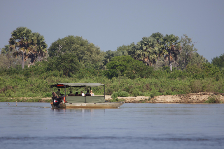 From Zanzibar: Day Safari to Selous Game Reserve with flight