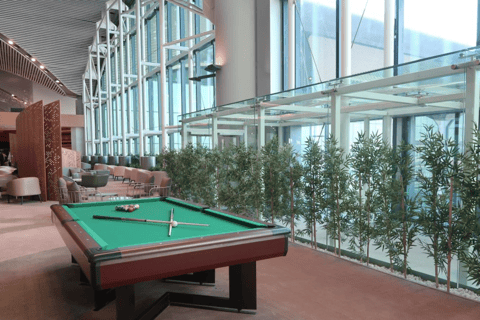 伊斯坦布尔：伊斯坦布尔机场 IGA 贵宾休息室访问权限国内航站楼 国内出发：IGA休息室