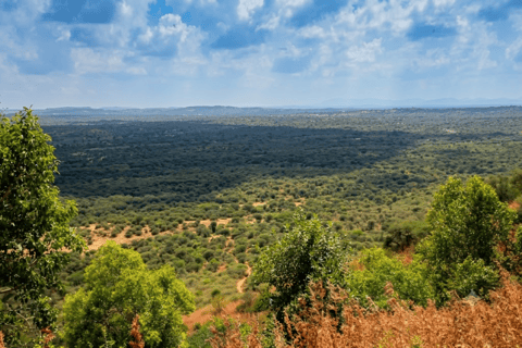 From Sheraro: 5-Day Kafta Sheraro National Park Safari