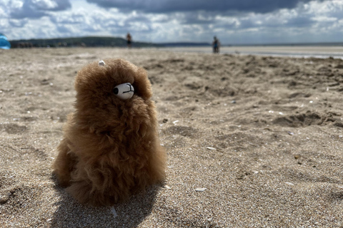 Excursão de um dia a Chanel Deauville saindo de Paris com degustação de ostras