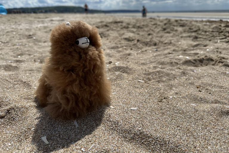 Excursão de um dia a Chanel Deauville saindo de Paris com degustação de ostras