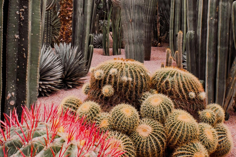 Marrakech : Jardin Majorelle, YSL, et entrée au musée berbère