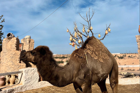 Djerba: Guellala Museum, Heritage, Photo Session, and Sunset Djerba: Discover Djerba's Traditions with a Photo Shoot