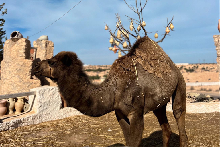Djerba: Guellala Museum, Heritage, Photo Session, and Sunset Djerba: Discover Djerba's Traditions with a Photo Shoot