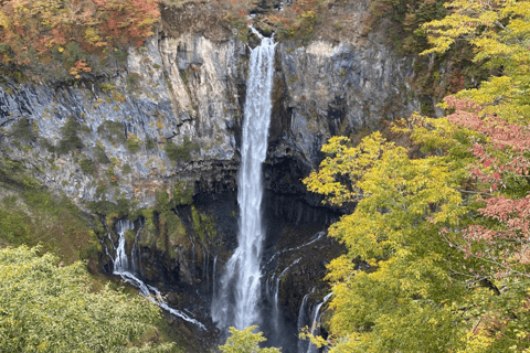 Tóquio: Passeio turístico particular a Nikko em um Land Cruiser de luxo