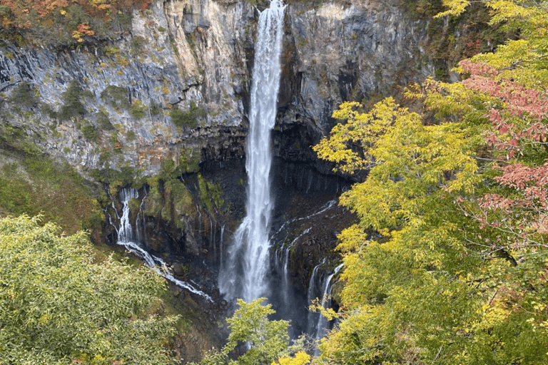 Tokyo : Visite touristique privée de Nikko en Land Cruiser de luxe