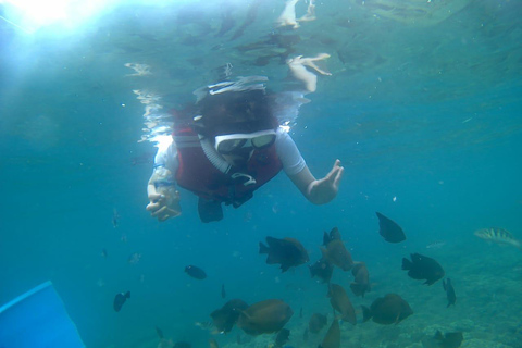 Bali : Lagon bleu et Tanjung Jepun - plongée avec masque et tubaBlue Lagoon Snorkeling Bateau à partager sans déjeuner