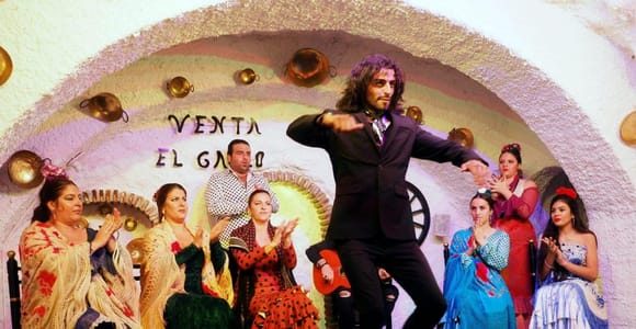 Granada: Flamenco Show at Venta El Gallo