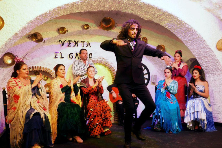 Granada: Authentic Flamenco Show at Venta El Gallo + 1 Drink Flamenco Show with Dinner