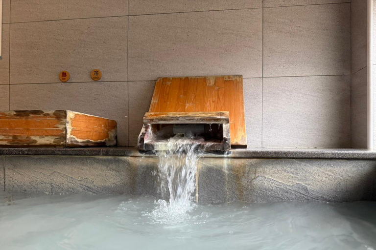 Taipei: tour guidato di Yangmingshan, Museo del Palazzo e Raohe