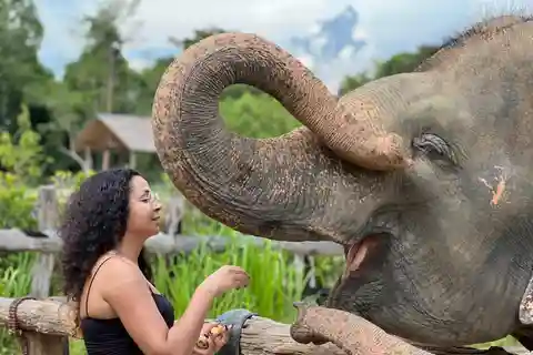 Elephant Sanctuary Cambodia, трансфер включен