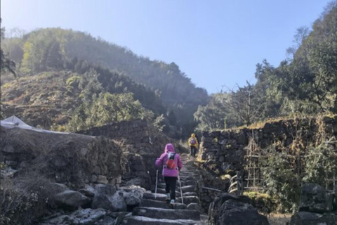 Shanghai: Zoumagang Hike Through Ancient Torreya Forest private tour option