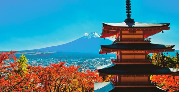 Ab Tokio: Tagestour zum Berg Fuji, Kawaguchiko & optionales Mittagessen
