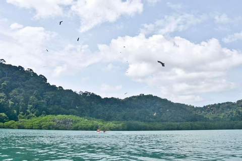 Island Discovery Boat Adventure in Langkawi with Pick Up