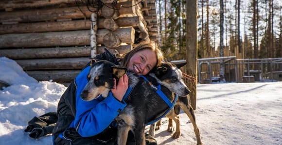 Rovaniemi: Fahre dein eigenes Husky-Team (5–8 km) & Barbecue
