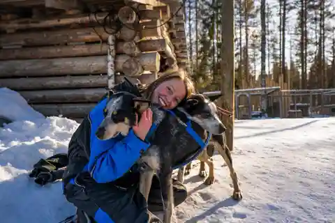 Rovaniemi: Husky-safari och BBQ vid lägereld - 6-10 km med självkörning